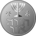 Hanukkah Coin