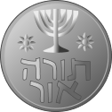 Hanukkah Coin