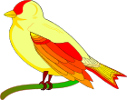 Bird of Peace