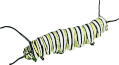 Caterpillar - Monarch