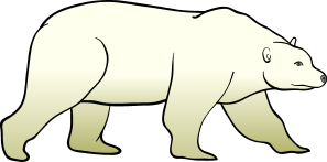 Polar Bear