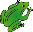 Adult Frog