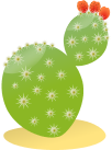 Beavertail Cactus