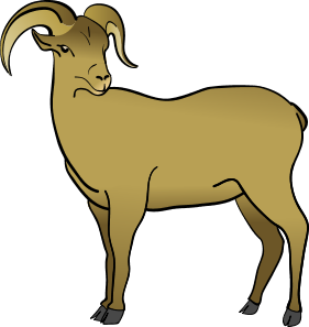 Big Horn Sheep