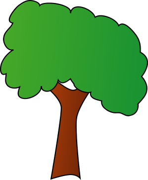 Deciduous Tree