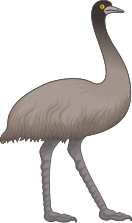 Emu