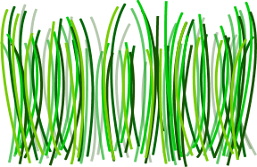 Grass