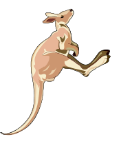 Kangaroo