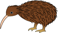 Kiwi