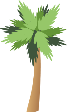 Palm Tree