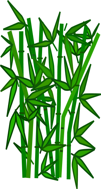 Bamboo