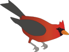 Cardinal