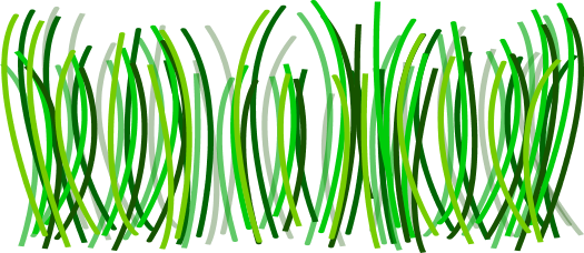 Grass