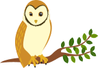 Barn Owl