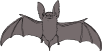 Bat