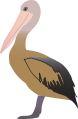 Brown Pelican