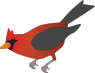 Cardinal