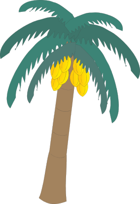 Coconut Palm