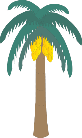 Coconut Palm