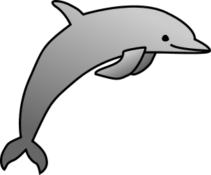 Dolphin