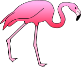 Flamingo