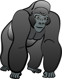 Gorilla