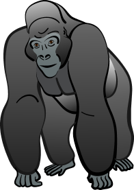 Gorilla