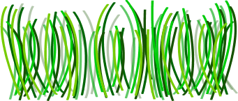 Grass