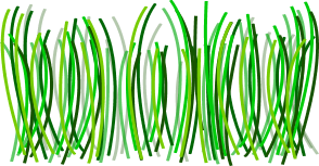 Grass