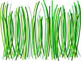 Grass