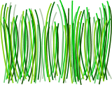 Grass