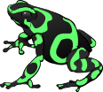 Poison Dart Frog