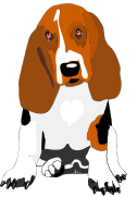 Bassett Hound