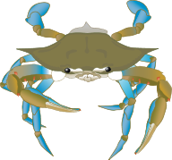 Blue Crab