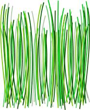 Grass