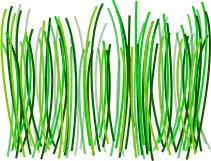 Grass