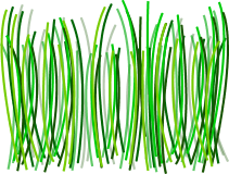 Grass