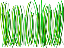 Grass