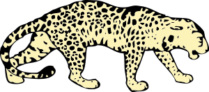 Leopard