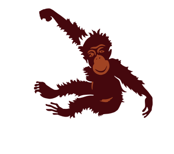 Orangutan