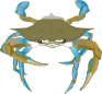 Blue Crab