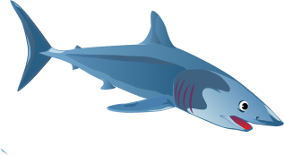 Blue Shark