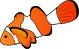 Clownfish