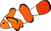 Clownfish