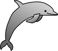 Dolphin