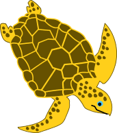 Sea Turtle