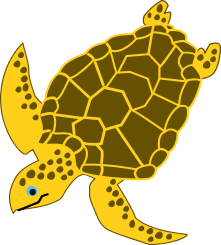 Sea Turtle