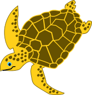 Sea Turtle