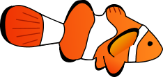 Clownfish