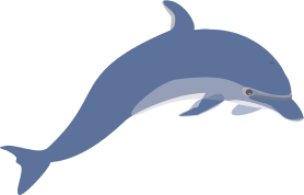 Dolphin